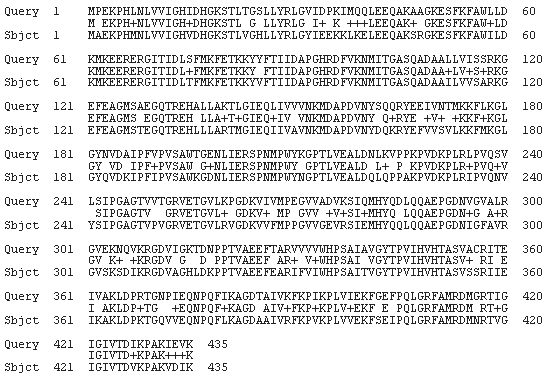 Выравнивание последовательности белка Elongation factor Tu[Hyperthermus butylicus DSM 5456] с исходной