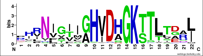 Logo для участка белка seed-последовательности