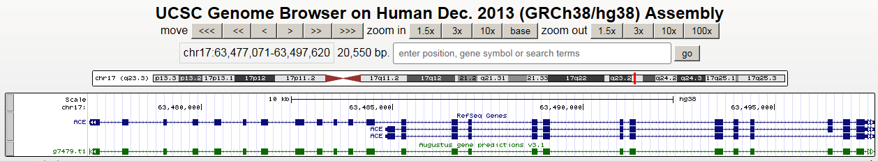 Скриншот окна браузера с двумя аннотациями гена ACE