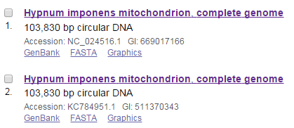 Найденные записи о митохондриальном геноме мха Hypnum imponens