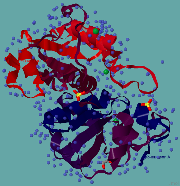 Пространственная структура белка rdhA
