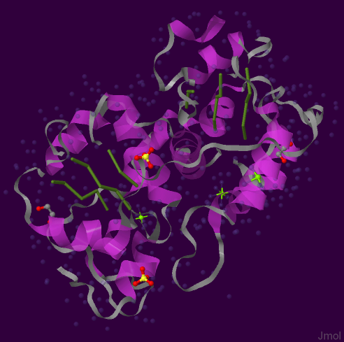 Пространственная структура белка rdhA