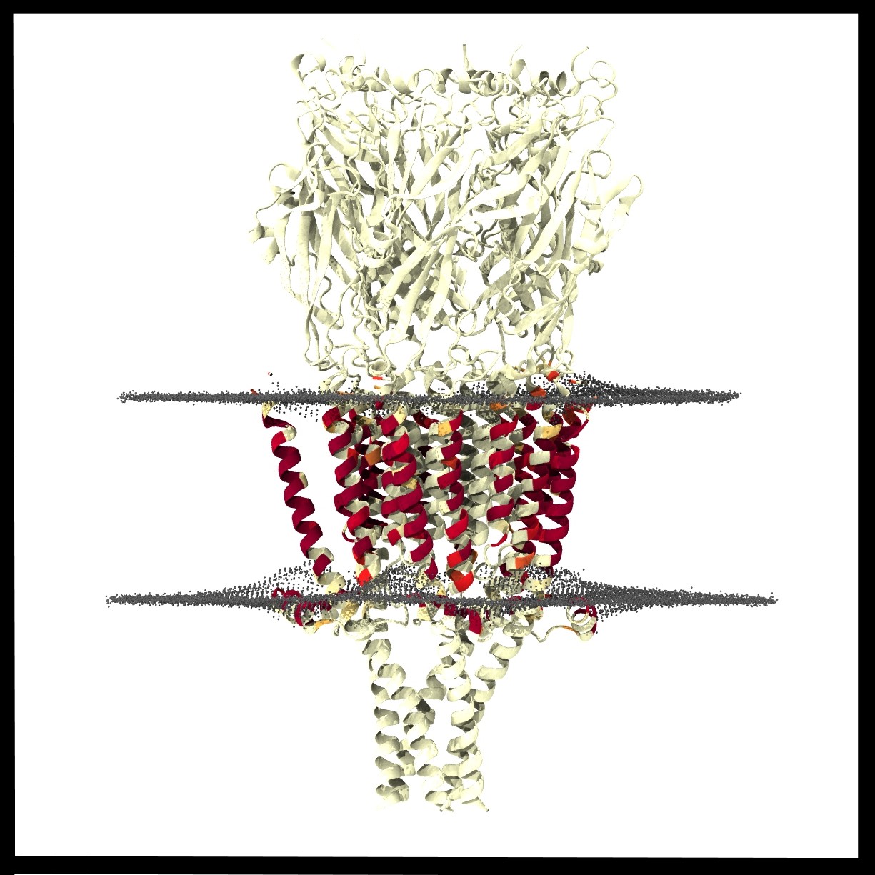 6Y1Z structure