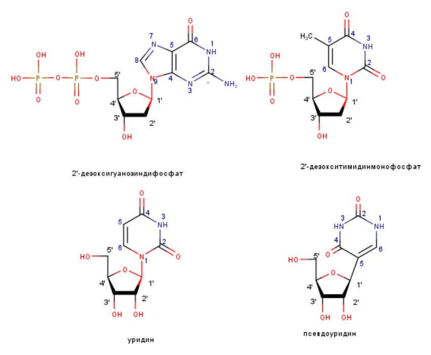 nucl.mrv