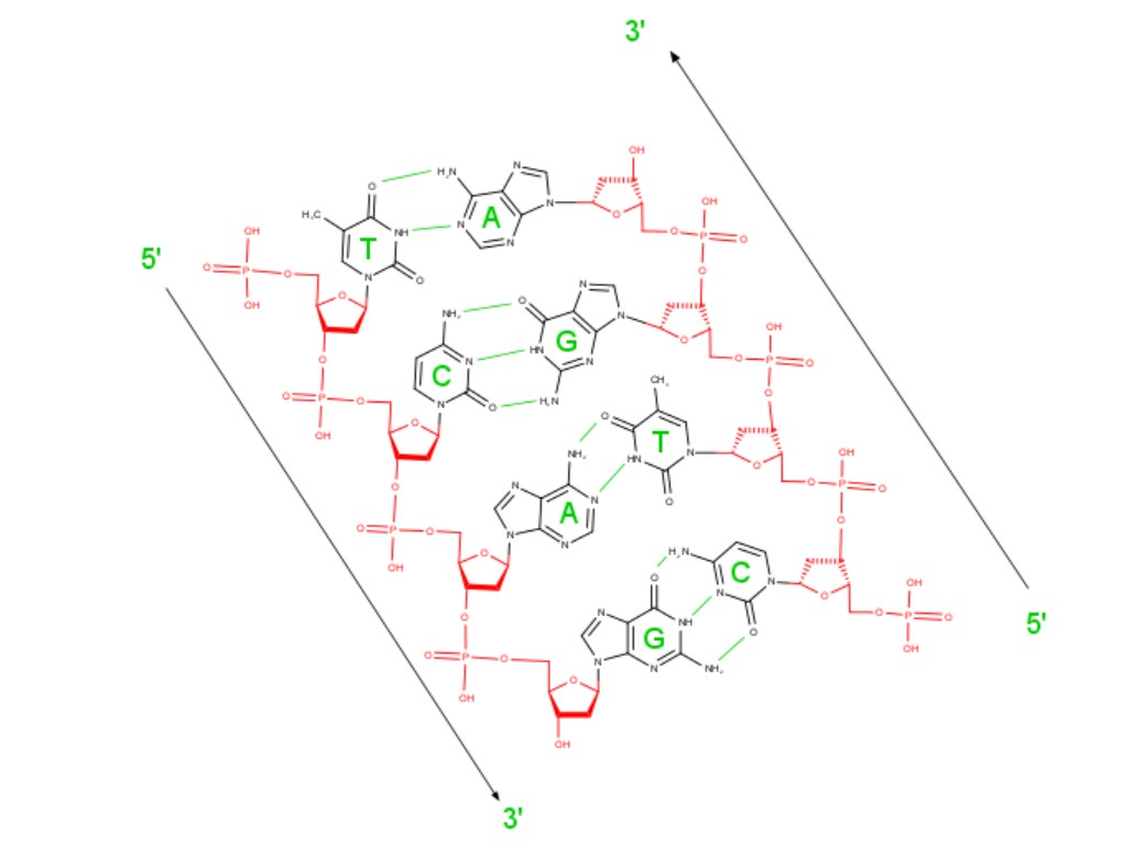 nucl.mrv