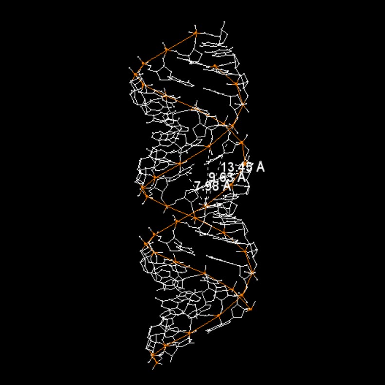 dna