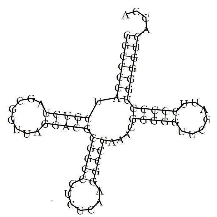 dna-protein