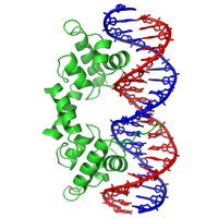 DNA - protein complex