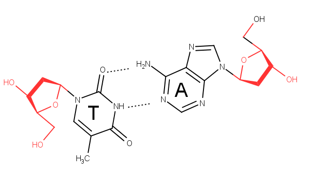 ta