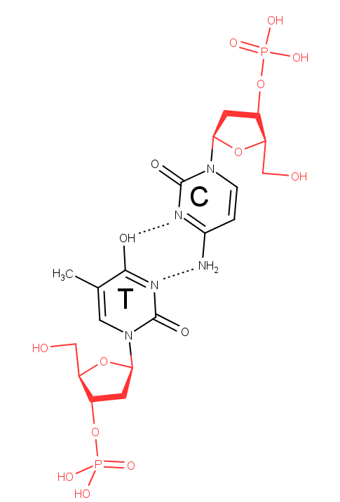 ta