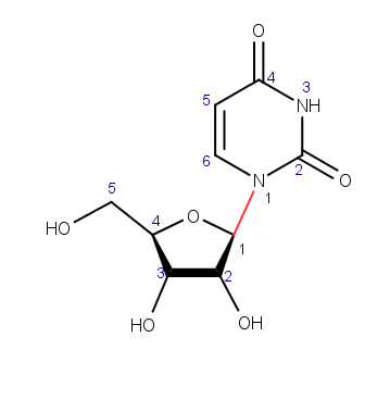 uracil