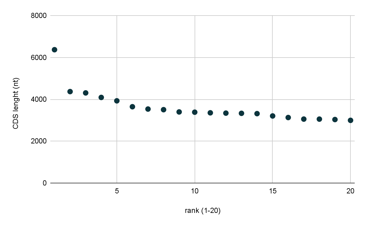 Rank–size plot of 20 longest CDS
