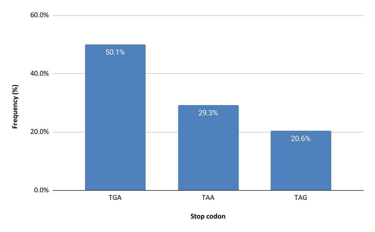 Stop codon distribution