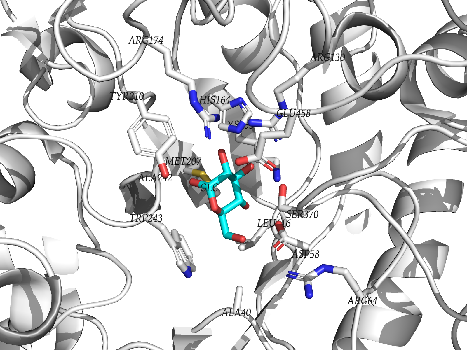 Окружение GLC в радиусе 5 Å