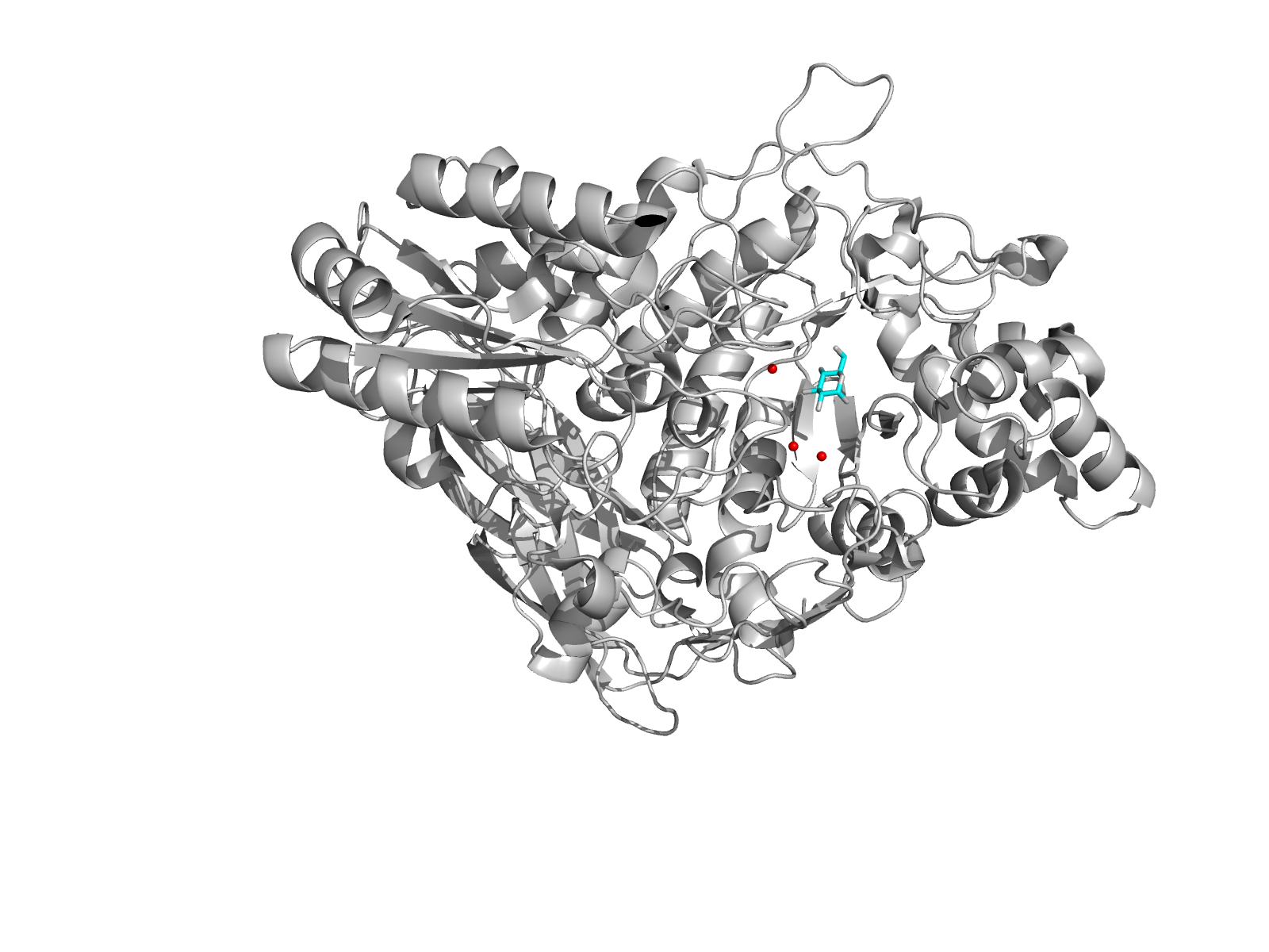 GLC и ближайшие молекулы воды