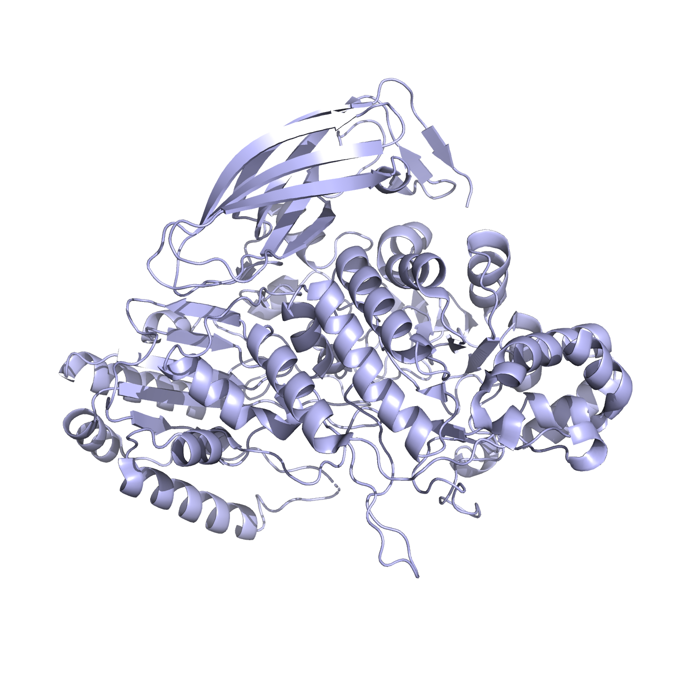 Общий вид структуры 2X42