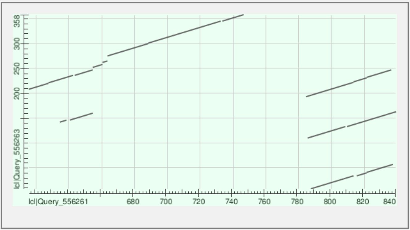 Dot plot VAV_HUMAN vs NCK1_HUMAN