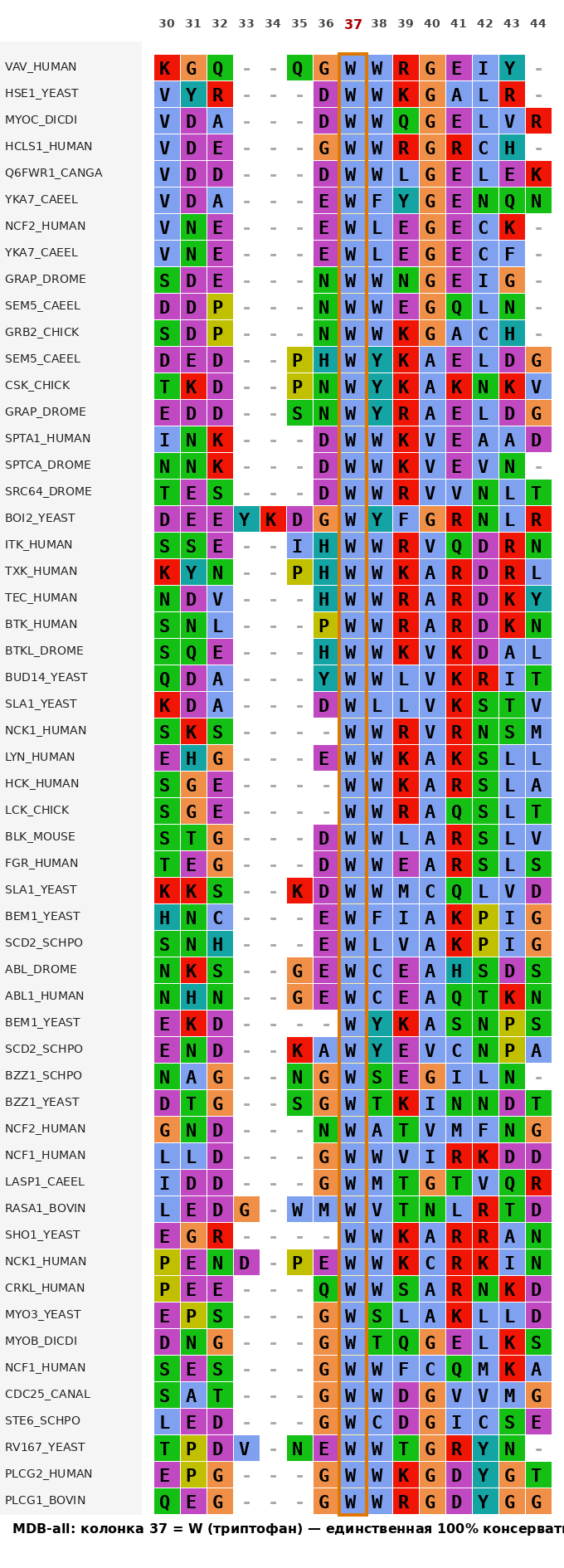 MDB-all: позиция 37 (W) с увеличением на колонки 30–44