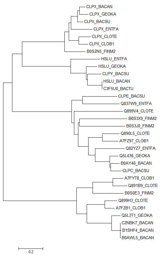 Minimum-evolution tree