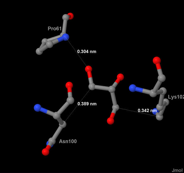 .2.   -  (PDB- 3D30)    