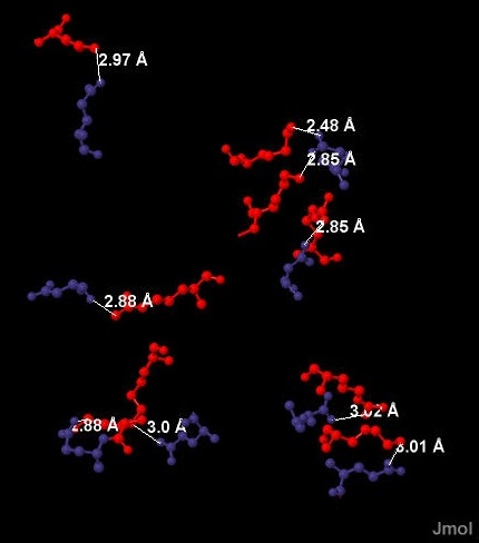 .7.     PDB- 3D30