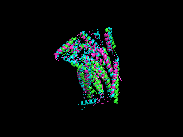 Structural alignment of PF04547 proteins