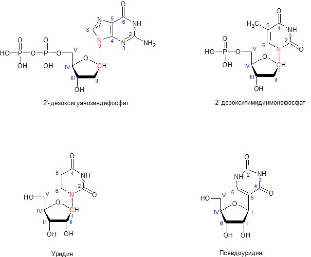 Уридилового нуклеотида. Уридин 3 монофосфат. 3 Уридиловая кислота. Образование 3 уридиловая кислота. Уридин 3 5 дифосфат.
