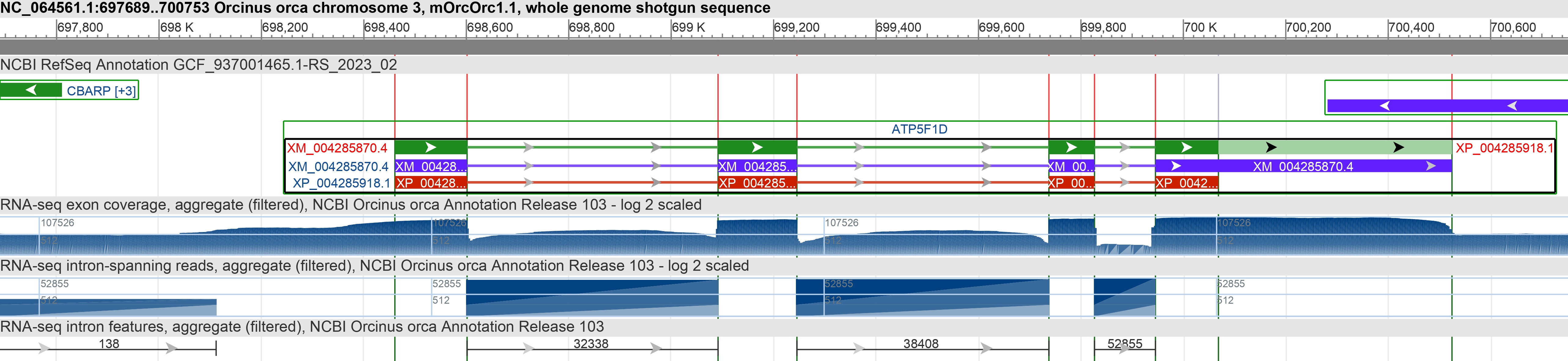 ATP5F1D - ATP synthase F1 subunit delta