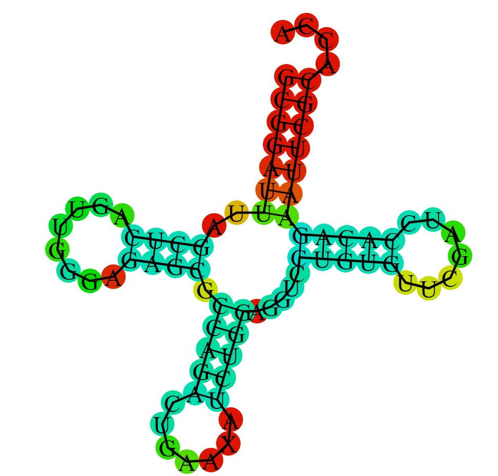 RNAfold structure of tRNA 1i9v