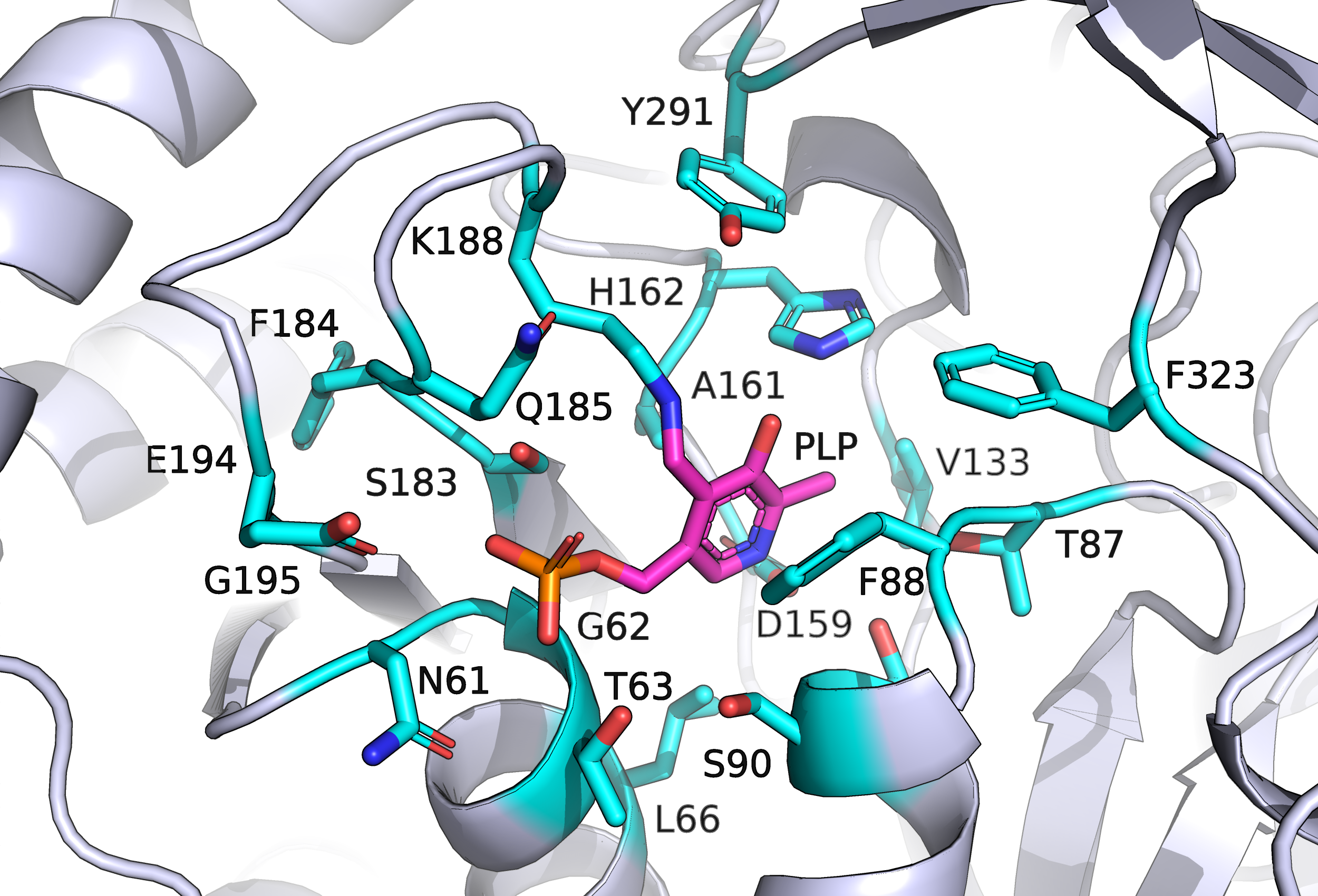 Protein surrounding of ligand