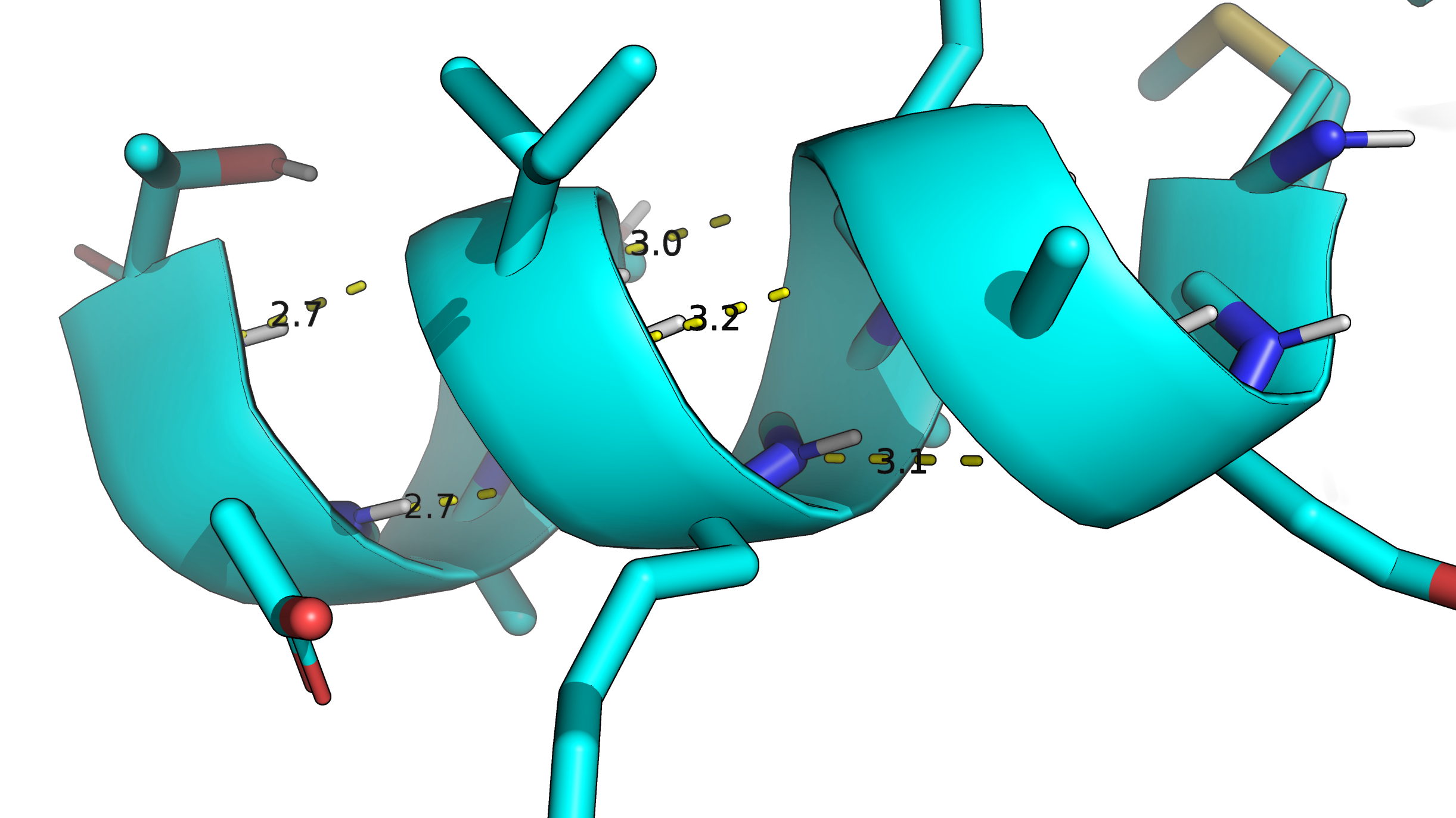 Protein backbone with cartoon