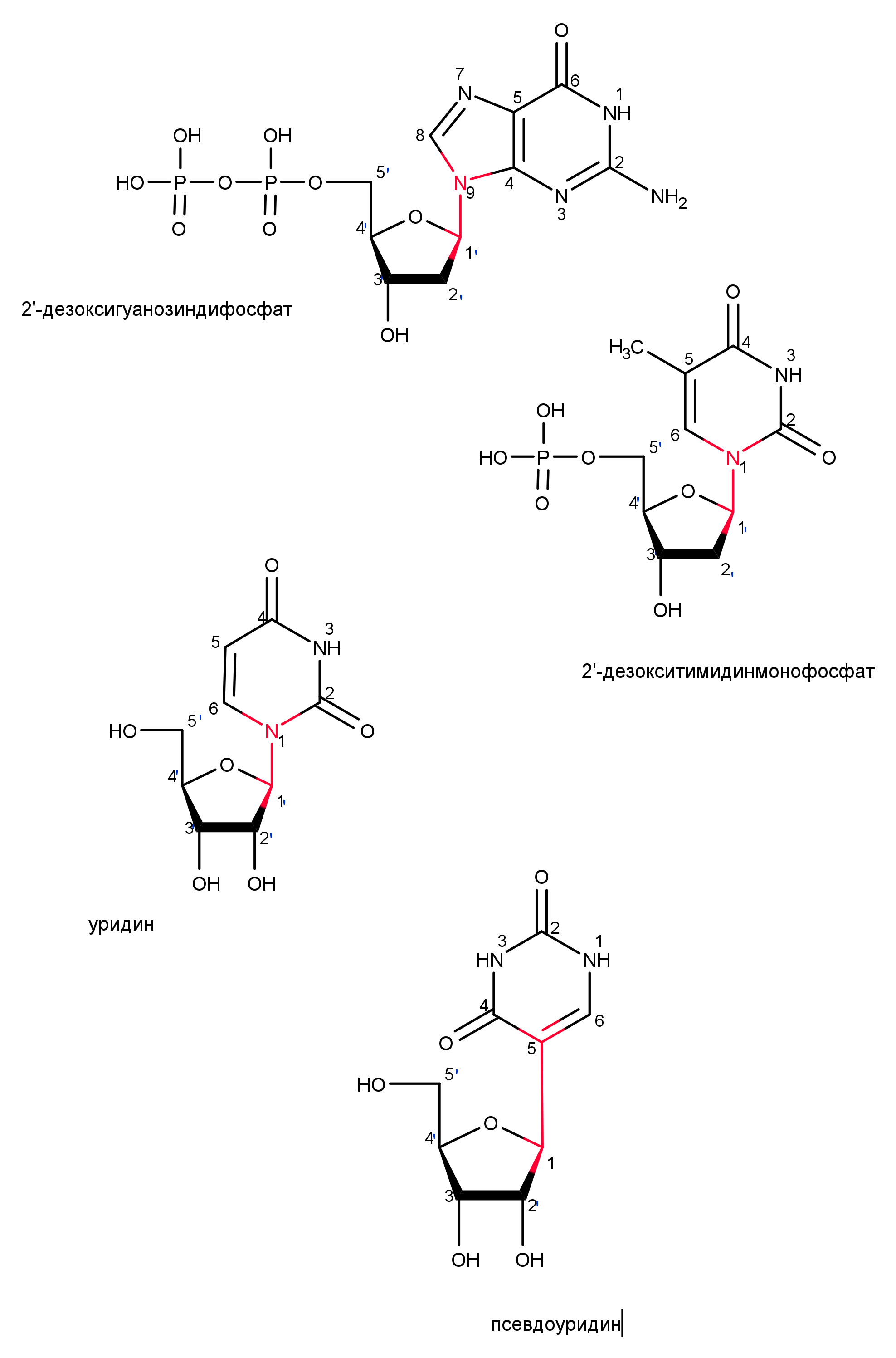 Nucleotides and nucleosides