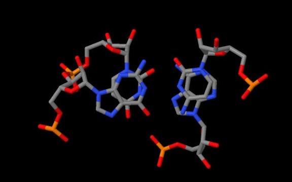 Phenilanine