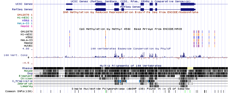 Genome Browser