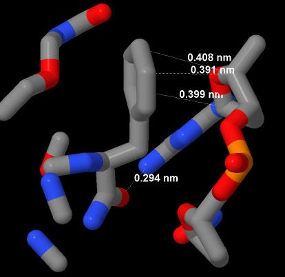 Phenilanine