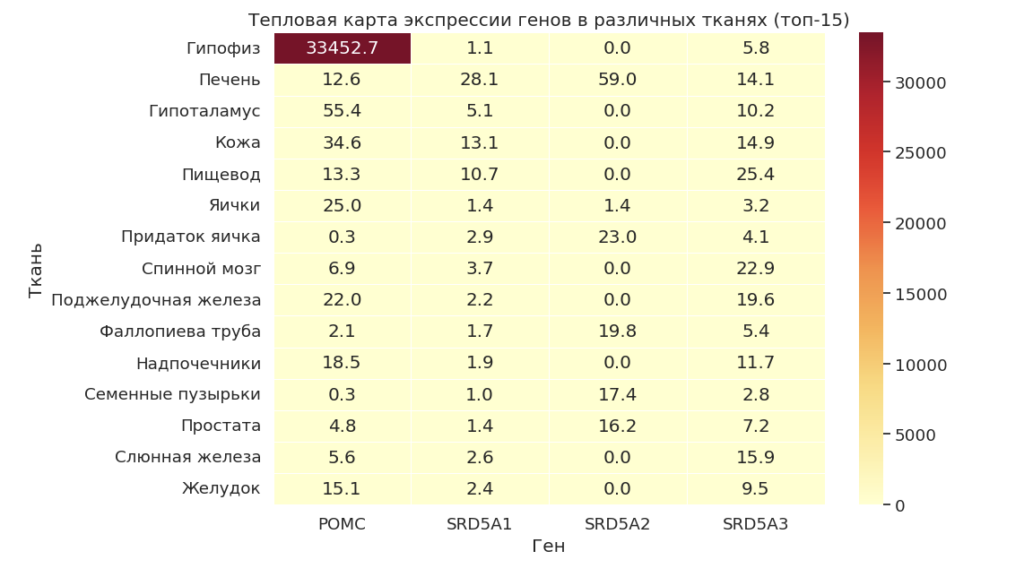Рис. 2: Тепловая карта экспрессии генов