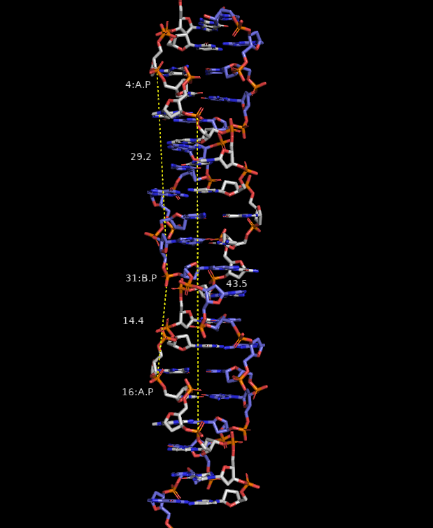 Z-form