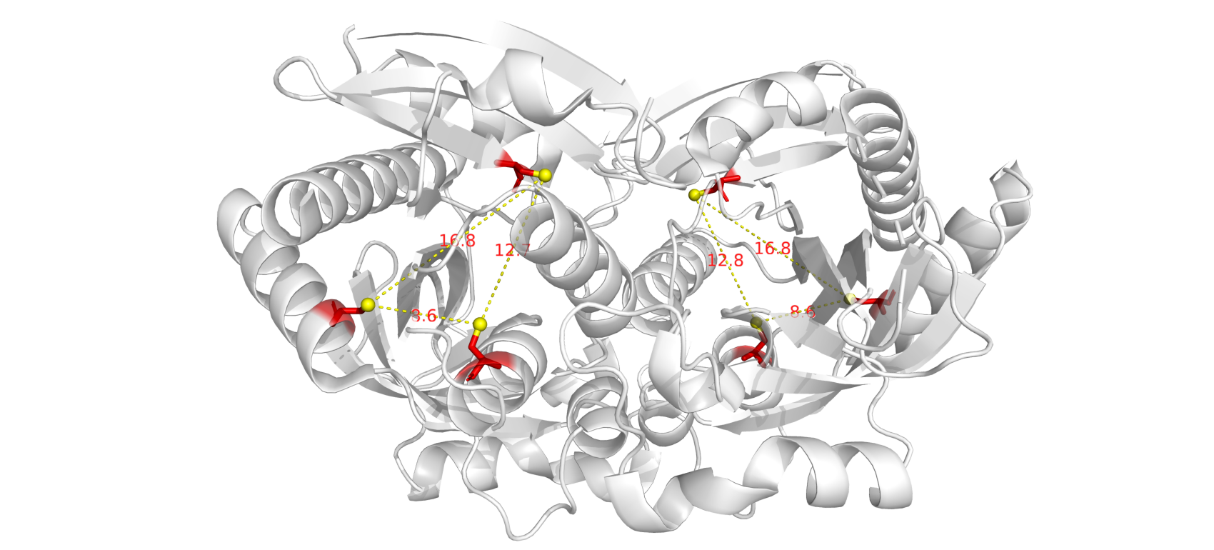 Дисульфидных связей нет