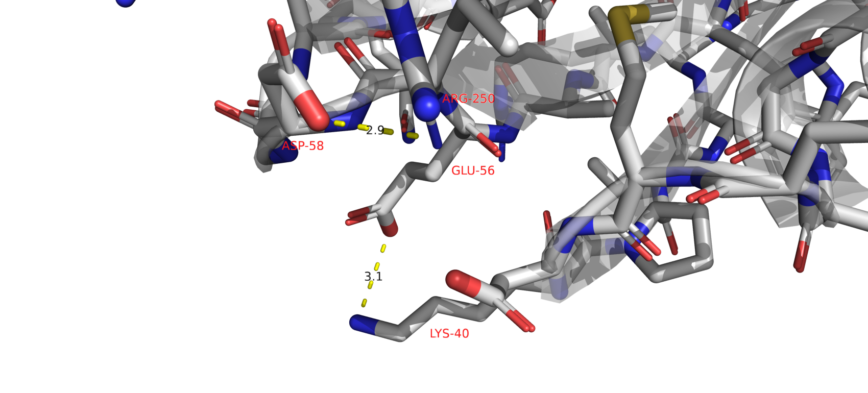 Водородные связи, затрагивающие атомы боковых радикалов аминокислот