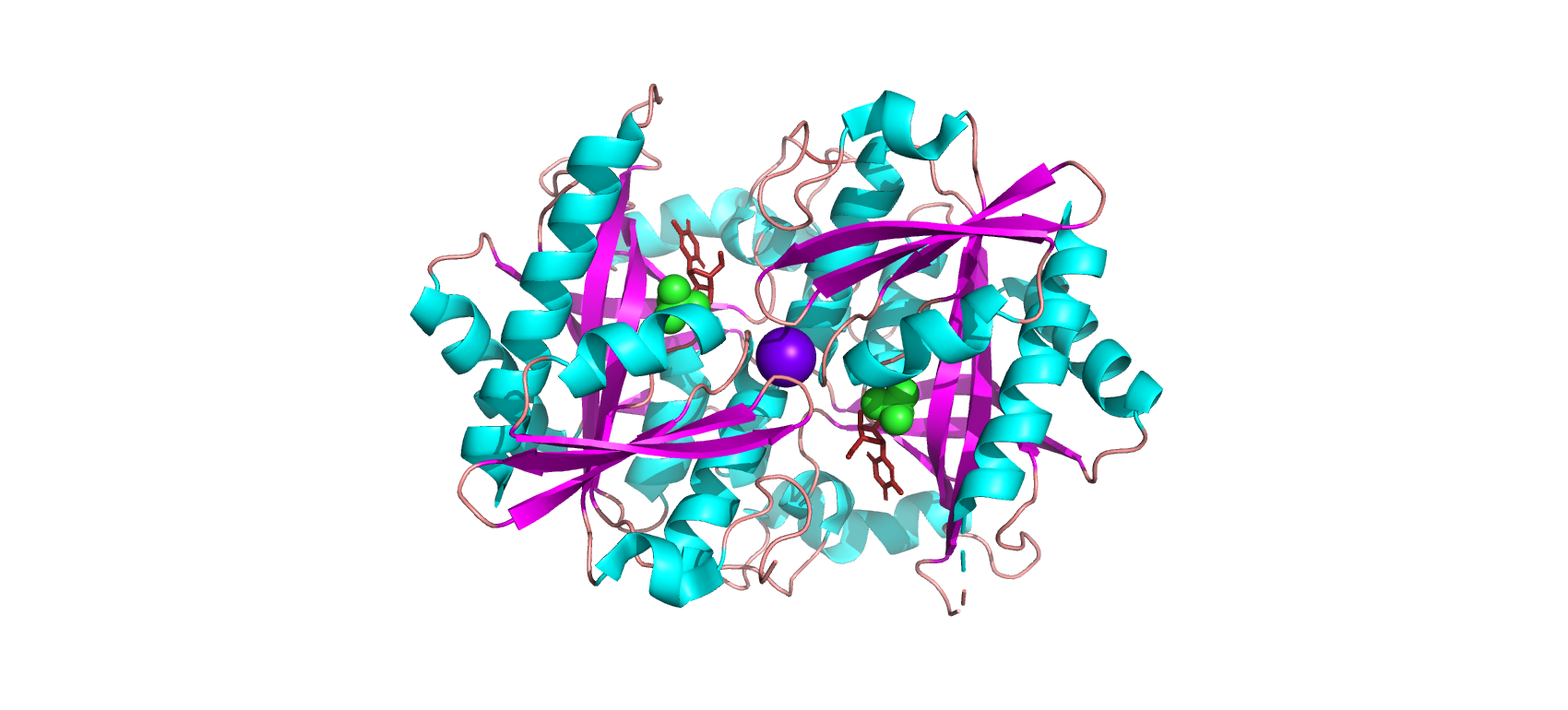 Элементы вторичной структуры