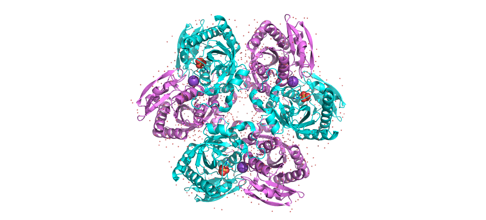 Структура белка