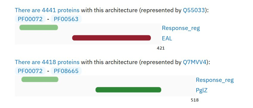 доменная архитектура
