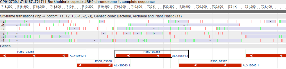 Геномное окружение гена белка короткоцепочечной дегидрогеназы (идентификатор белка ALX10644.1)