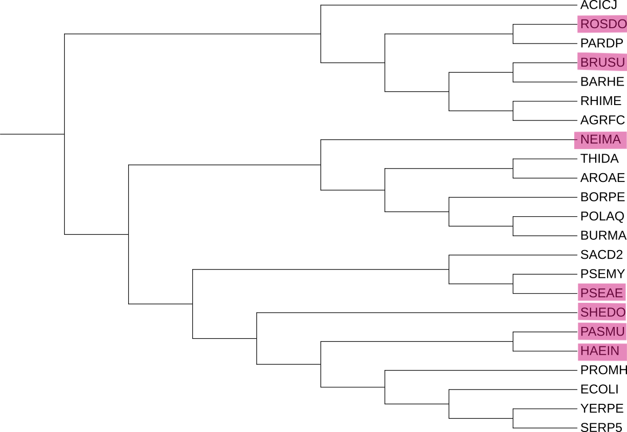 Рис. 1