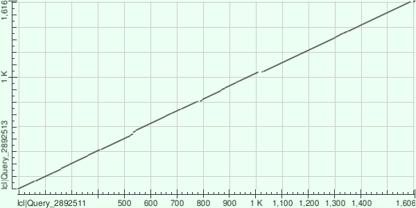 Dotplot