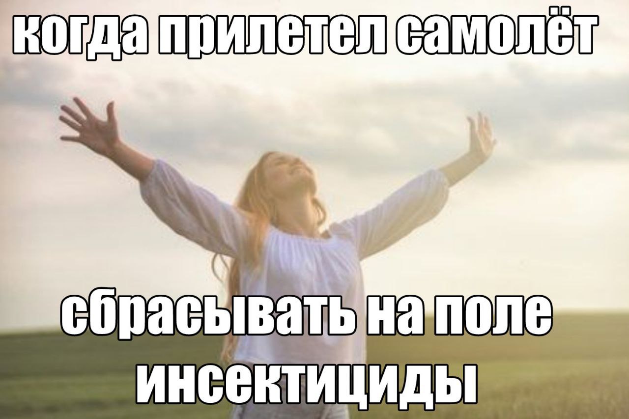 Мем