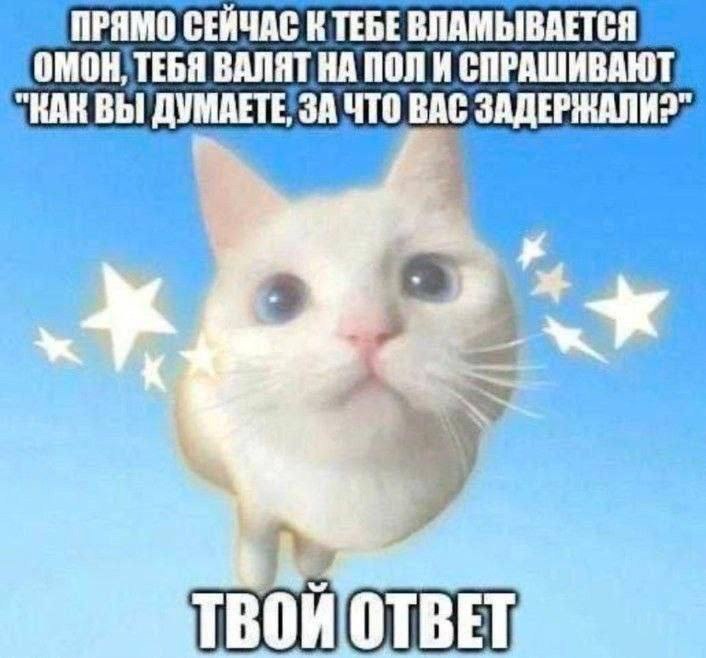 Мем