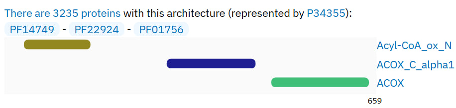 Первый белок