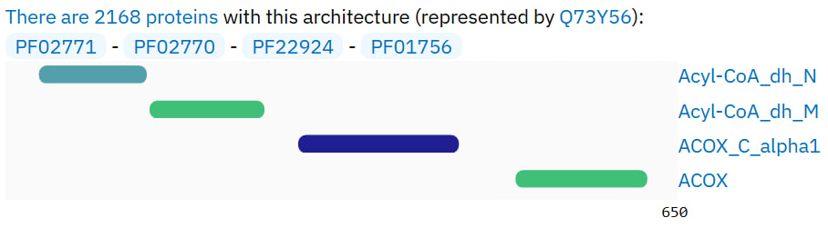 Второй белок