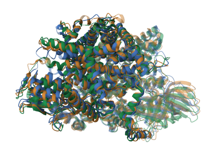 выравнивание по совмещению структур